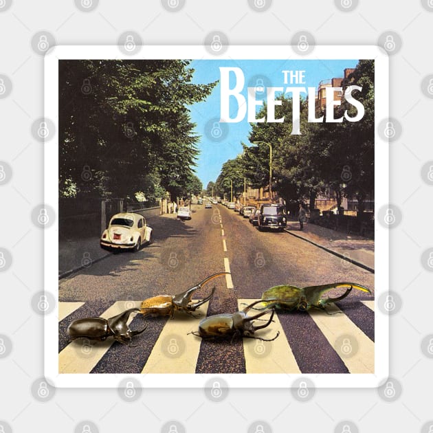 The Beetles Magnet by ArtBot