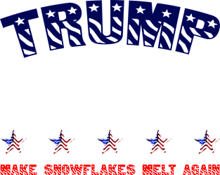 Vote Trump 2020 Shirt - Make Snowflakes Melt Again! Magnet