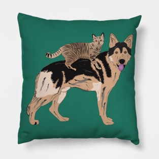 Cat and Dog Pillow