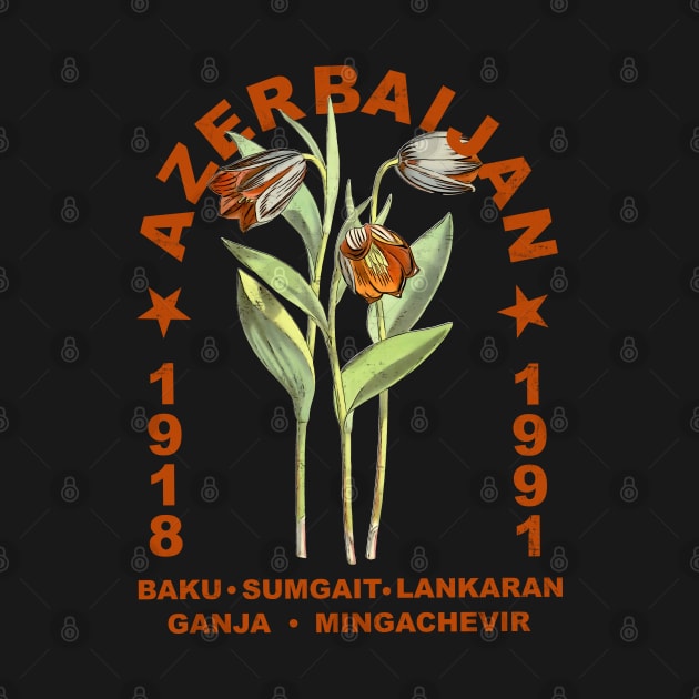 Azerbaijan Vintage Floral by Pico Originals