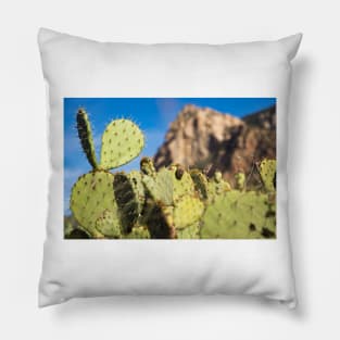 cactus Pillow