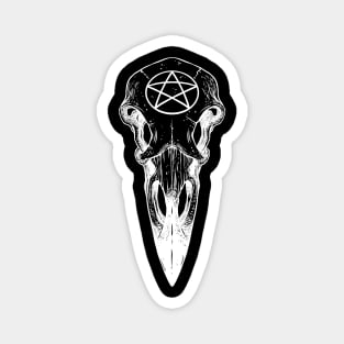 Raven skull. Pentagram Magnet
