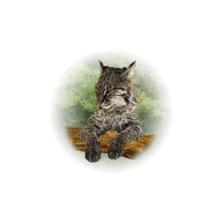 Bobcat T-Shirt