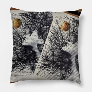 Transcendence prints Pillow