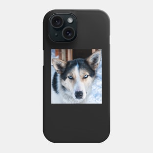 Husky Eyes Phone Case