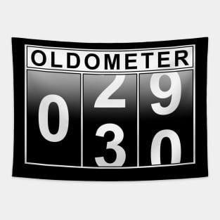 30th Birthday Oldometer Tapestry