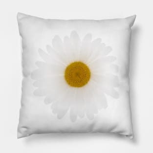 Shasta daisy Pillow