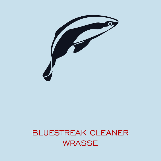 bluestreak cleaner wrasse by masha