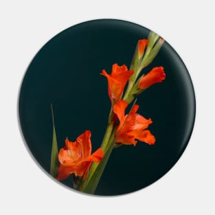 Orange Gladiolus Pin