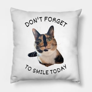Don't forget to smile today Pillow