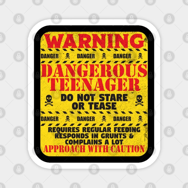 13th Birthday - Warning Dangerous Teenager Magnet by Kudostees