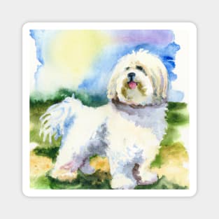 Coton de Tulear Watercolor - Dog Lovers Magnet