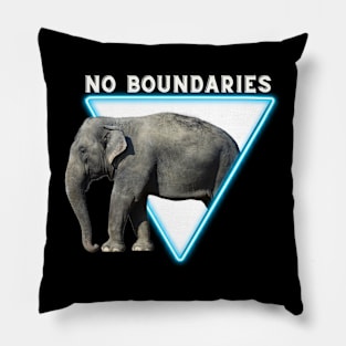 No Boundaries Pillow