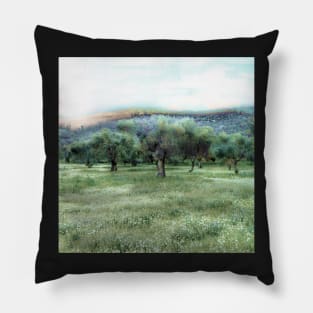 Once Upon a Time Pillow