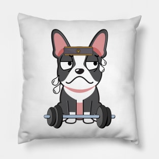 Funny french bulldog is exercising Pillow