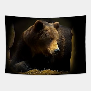 Brown bear Tapestry