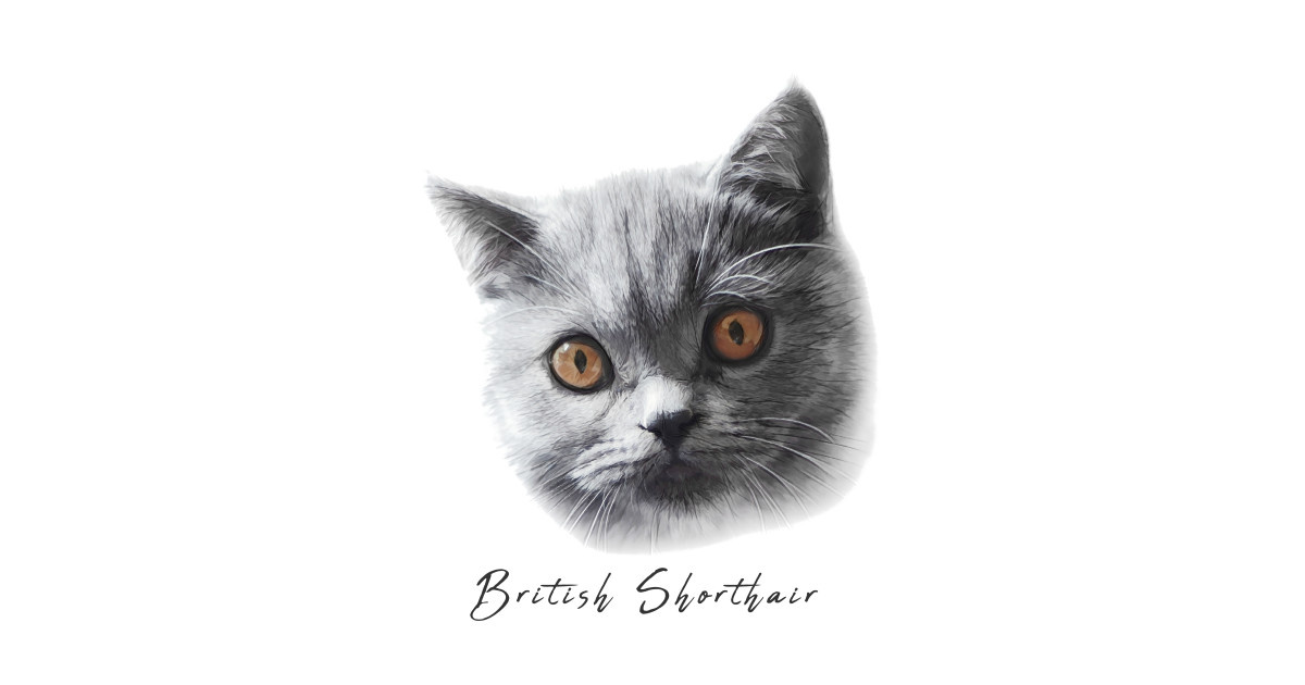 British Shorthair Cat British Shorthair Cat T Shirt Teepublic