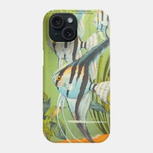 Angel fish at eastern garden aquarium, Florida postcard Phone Case