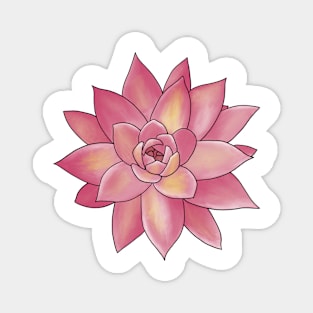 Colorful Succulent - Pink and Yellow Magnet