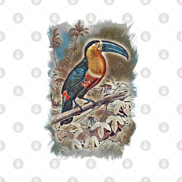 Toucan Beautiful Bird Jungle Forest Illustration by Naumovski