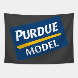 Purdue Model Tapestry