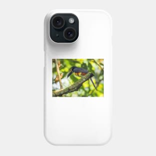 Aracari Phone Case