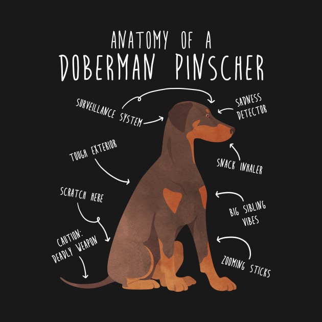Doberman Anatomy by Psitta