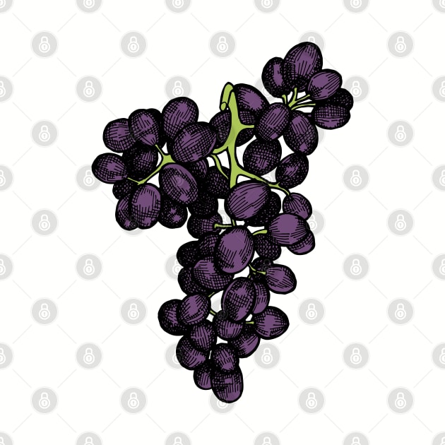 Grapes by senkova