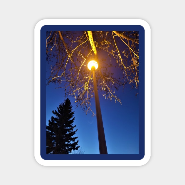 Lamp Post Magnet by Kyarwon