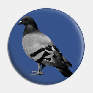 Pigeon 1 Pin