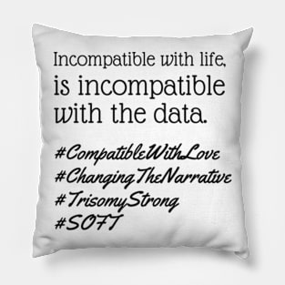 Changing the Narrative Pillow