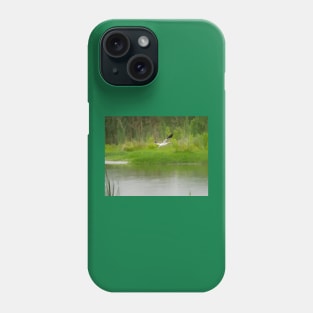 Flight of an American Avocet Phone Case