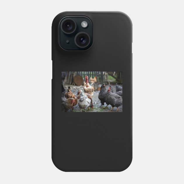 Free range chicken in the countryside Phone Case by naturalis