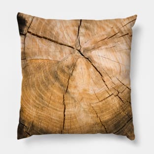 Wooden Tree Circle Texture Pillow