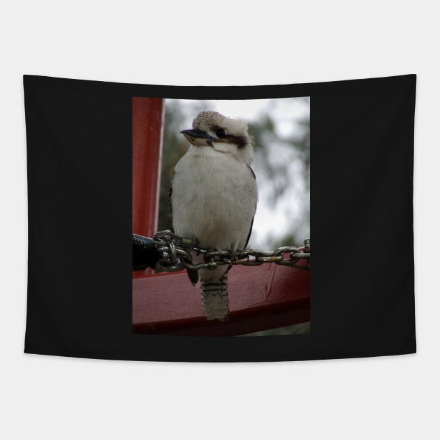 Kookaburra Tapestry by Andyt