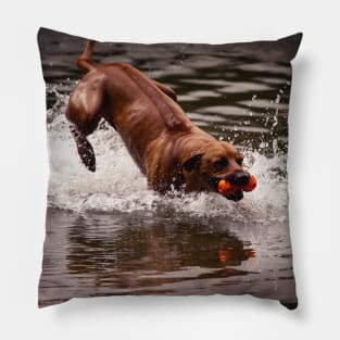 Rhodesian Ridgeback Pillow