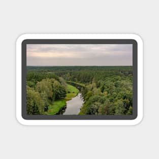 Pinewood treetops and winding river Magnet