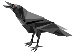 Raven Magnet