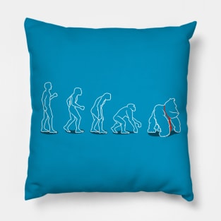 Devolution Pillow