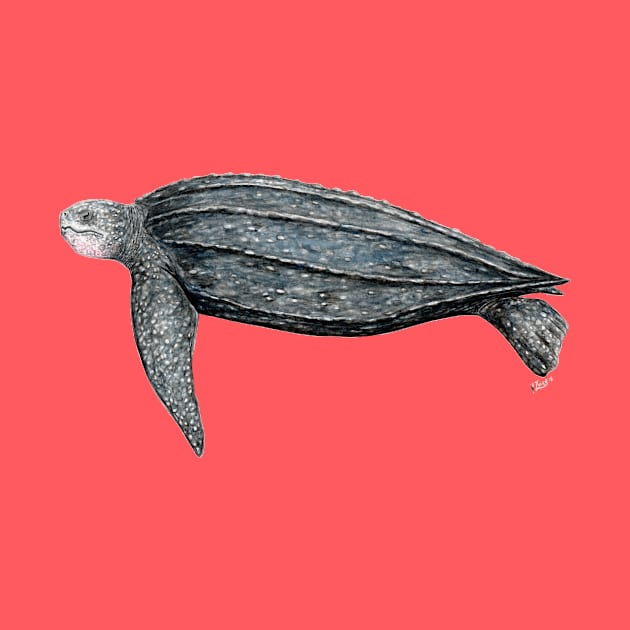 Leatherback turtle by chloeyzoard