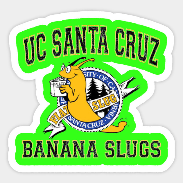 Santa Cruz Mascot Logo - Uc Volleyball Banana Slug Meme Mascot - Sticker