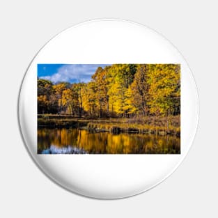 Golden Pond Pin