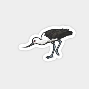 Andean Avocet Magnet