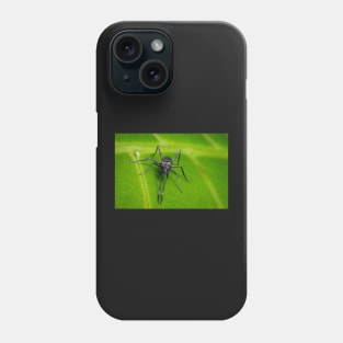 Unique and organic photo of an ant mimic spider looking at you Phone Case