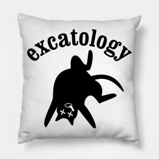 Excatology Pillow