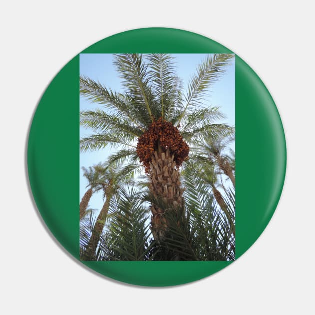 Date Palm Pin by SPACE ART & NATURE SHIRTS 