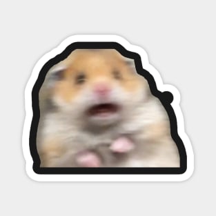 Hamster meme Magnet