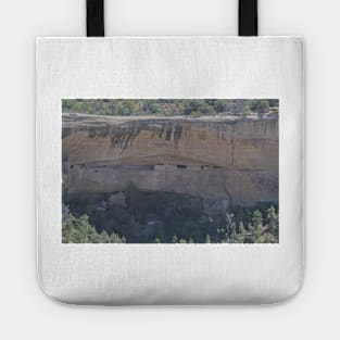 850_3819 Tote