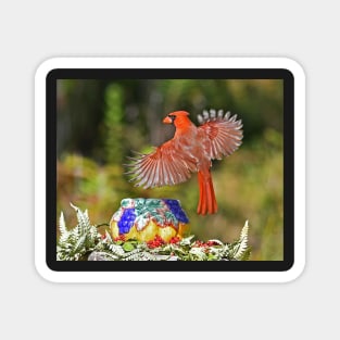 Red Northern Cardinal Bird Wings Flying Magnet