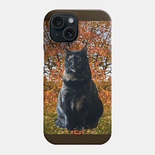 My Other Autumn Kitty Phone Case